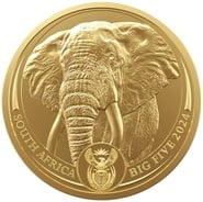 Moeda de Ouro de 1 Onça do Elefante - Série dos Cinco Grandes 2024