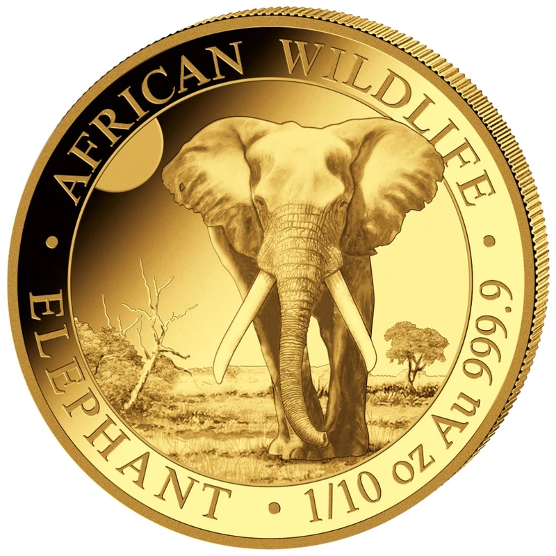 2025 1/10oz Somalian Elephant Gold Coin