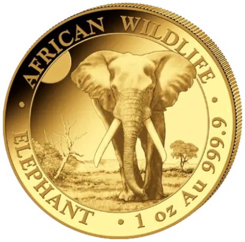 2025 1oz Somalian Elephant Gold Coin