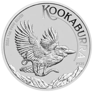 Australian Kookaburra