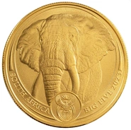 Moeda de Ouro de 1 onça - Elefante - Série dos Cinco Grandes 2023