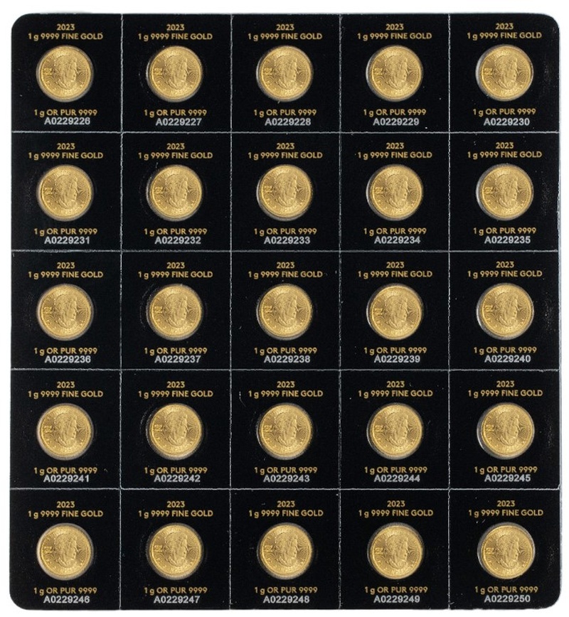 25 x 1 moedas de ouro MapleGram  2023