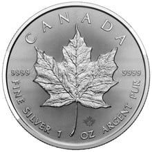 Moeda de Prata Maple Canadiana de 1 onça 2024